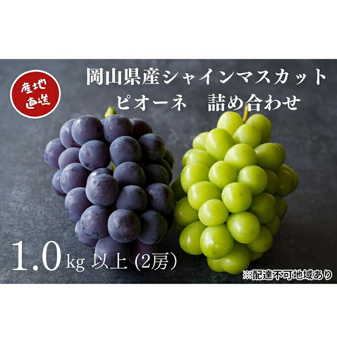 厳選 シャインマスカット・ニューピオーネ 2房 合計1.0kg以上 詰合せ 産地直送 朝採れ ぶどう 葡萄 Kawahara Green Farm 岡山県産 2026年 果物 フルーツ 人気 甘い セット 　お届け：2026年8月25日～2026年9月30日