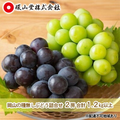 ぶどう 2026年 先行予約 種無し ぶどう 詰合せ 2房 合計1.2kg以上 マスカット ブドウ 葡萄 岡山県産 国産 フルーツ 果物 ギフト 環山堂 　お届け：2026年9月上旬～2026年10月上旬