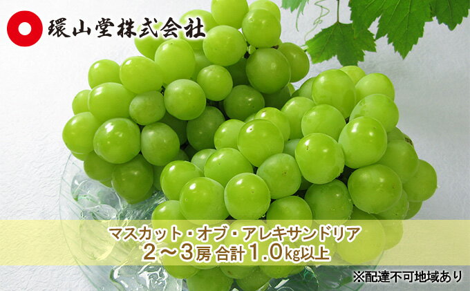 【ふるさと納税】ぶどう 2026年 先行予約 マスカット・オブ・アレキサンドリア 2～3房 合計1.0kg以上 マスカット ブドウ 葡萄 岡山県産 国産 フルーツ 果物 ギフト 環山堂 　お届け：2026年8月下旬～2026年9月下旬 サムネイル2