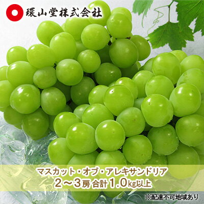 ぶどう 2026年 先行予約 マスカット・オブ・アレキサンドリア 2～3房 合計1.0kg以上 マスカット ブドウ 葡萄 岡山県産 国産 フルーツ 果物 ギフト 環山堂 　お届け：2026年8月下旬～2026年9月下旬