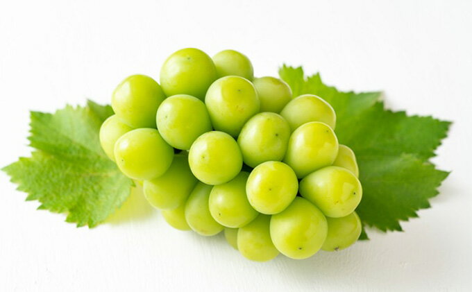 【ふるさと納税】ぶどう 2025年 先行予約 シャイン マスカット 晴王 1房 500g前後 マスカット ブドウ 葡萄 岡山県産 国産 フルーツ 果物 ギフト 　お届け：2025年9月中旬～2026年1月上旬 サムネイル3