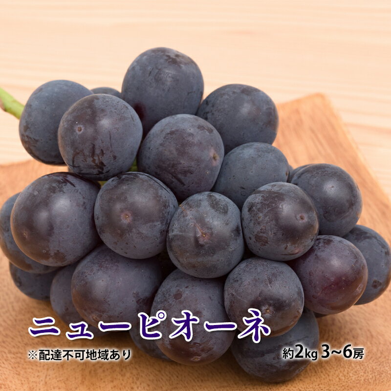 ぶどう 2026年 先行予約 ニュー ピオーネ 約2kg 3～6房 種無し ブドウ 葡萄 岡山県産 国産 フルーツ 果物 ギフト 　お届け：2026年8月下旬～2026年9月下旬