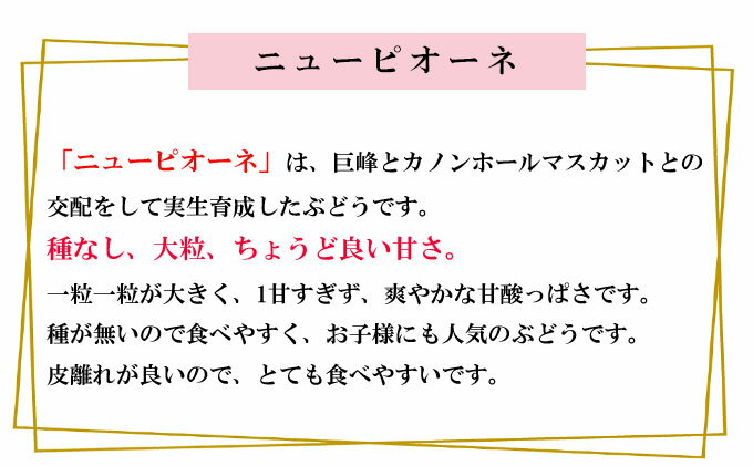 【ふるさと納税】ぶどう 2026年 先行予約 ニュー ピオーネ 約2kg 3～6房 種無し ブドウ 葡萄 岡山県産 国産 フルーツ 果物 ギフト 　お届け：2026年8月下旬～2026年9月下旬 サムネイル3