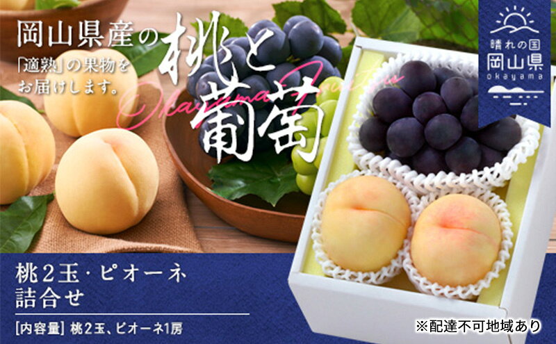 【ふるさと納税】桃 ぶどう 2026年 先行予約 果物 詰合せ 白桃 晩生種 2玉 ニュー ピオーネ 1房 合計約1.0kg もも 葡萄 岡山県産 国産 フルーツ 果物 ギフト　お届け：2026年8月下旬～2026年9月中旬 サムネイル2