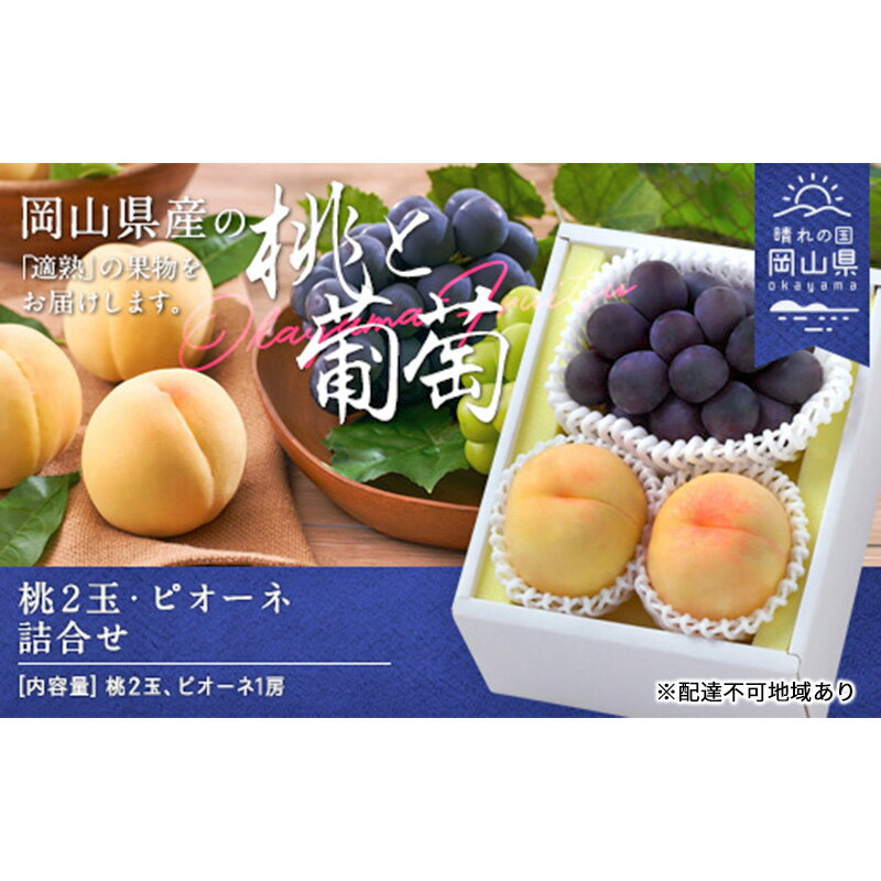 桃 ぶどう 2026年 先行予約 果物 詰合せ 白桃 晩生種 2玉 ニュー ピオーネ 1房 合計約1.0kg もも 葡萄 岡山県産 国産 フルーツ 果物 ギフト　お届け：2026年8月下旬～2026年9月中旬
