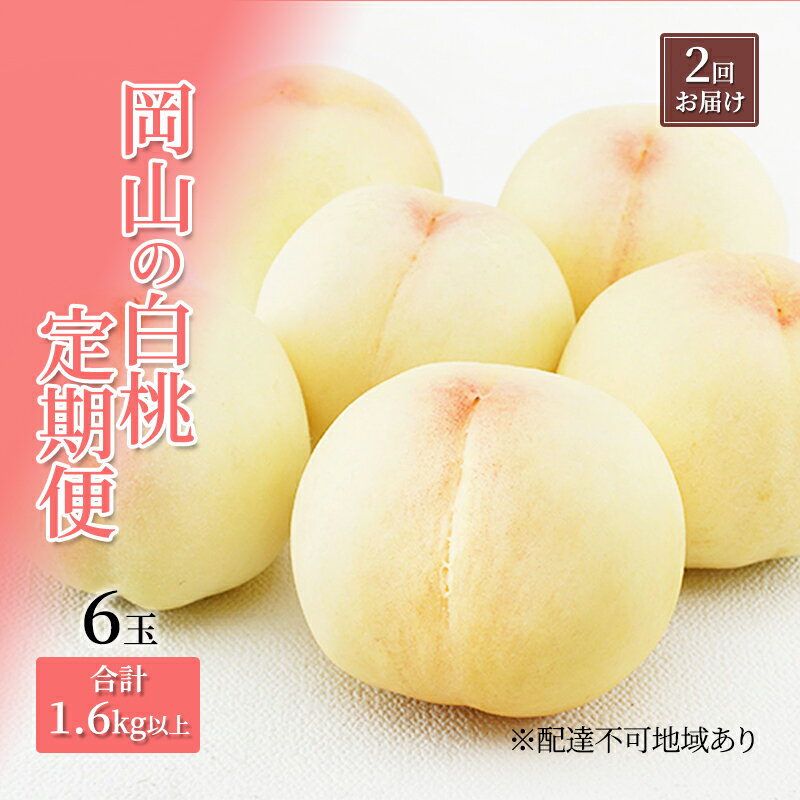 桃 定期便 2026年 先行予約 岡山 の 白桃 6玉 合計1.6kg以上×2回 お届け 化粧箱入り もも モモ 岡山産 国産 フルーツ 果物 ギフト 　お届け：2026年7月上旬～2026年8月上旬