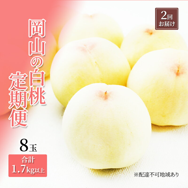 桃 定期便 2026年 先行予約 岡山 の 白桃 8玉 合計1.7kg以上×2回 お届け 化粧箱入り もも モモ 岡山産 国産 フルーツ 果物 ギフト 　お届け：2026年7月上旬～2026年8月上旬