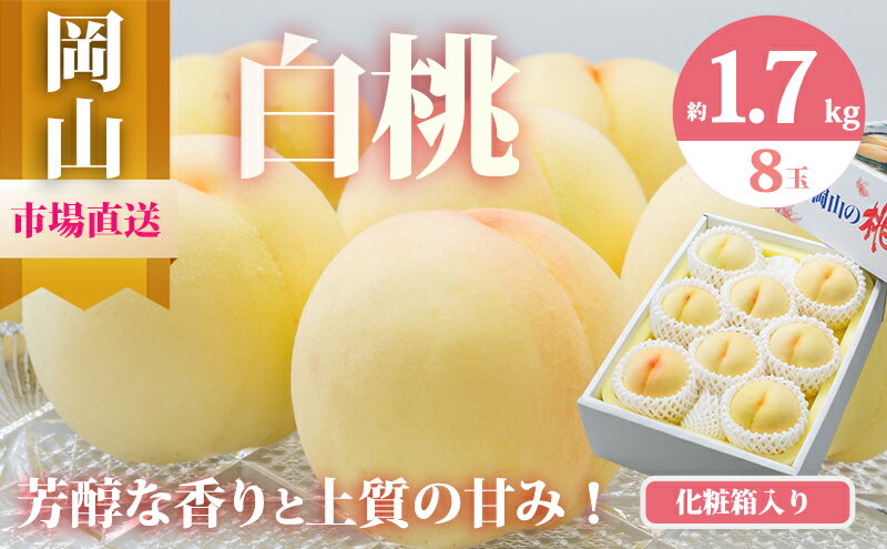 【ふるさと納税】桃 2026年 先行予約 岡山 の 白桃 8玉（合計1.7kg以上）化粧箱入り もも モモ 岡山県産 国産 フルーツ 果物 ギフト 　お届け：2026年7月上旬～2026年8月上旬 サムネイル2