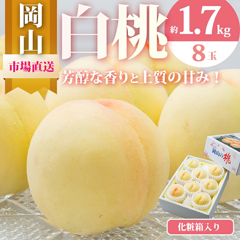 桃 2026年 先行予約 岡山 の 白桃 8玉（合計1.7kg以上）化粧箱入り もも モモ 岡山県産 国産 フルーツ 果物 ギフト 　お届け：2026年7月上旬～2026年8月上旬