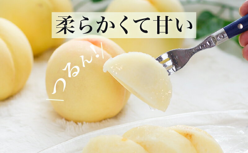 【ふるさと納税】桃 2026年 先行予約 岡山 の 白桃 8玉（合計1.7kg以上）化粧箱入り もも モモ 岡山県産 国産 フルーツ 果物 ギフト 　お届け：2026年7月上旬～2026年8月上旬 サムネイル3