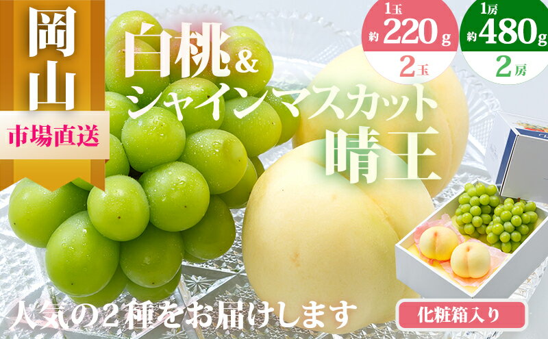 【ふるさと納税】桃 ぶどう 2026年 先行予約 果物 詰合せ 白桃 2玉（1玉220g以上）シャインマスカット 晴王 2房（1房480g以上）化粧箱入り もも 葡萄 岡山県産 国産 フルーツ 果物 ギフト 　お届け：2026年7月下旬～2026年8月中旬 サムネイル2