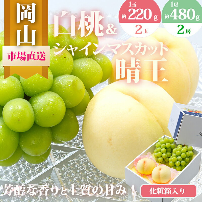 桃 ぶどう 2026年 先行予約 果物 詰合せ 白桃 2玉（1玉220g以上）シャインマスカット 晴王 2房（1房480g以上）化粧箱入り もも 葡萄 岡山県産 国産 フルーツ 果物 ギフト 　お届け：2026年7月下旬～2026年8月中旬