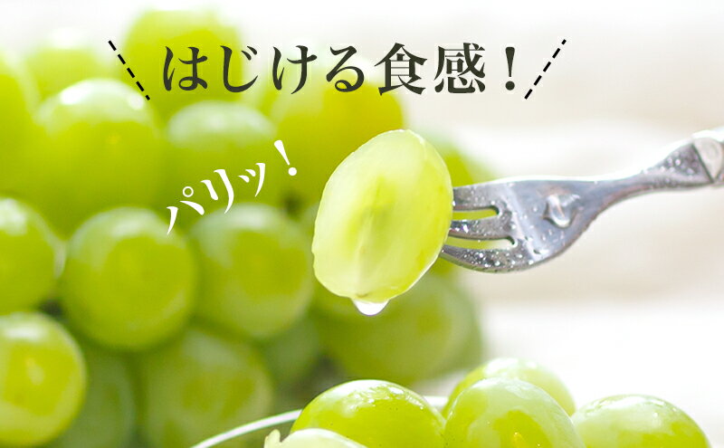 【ふるさと納税】桃 ぶどう 2026年 先行予約 果物 詰合せ 白桃 2玉（1玉220g以上）シャインマスカット 晴王 2房（1房480g以上）化粧箱入り もも 葡萄 岡山県産 国産 フルーツ 果物 ギフト 　お届け：2026年7月下旬～2026年8月中旬 サムネイル3
