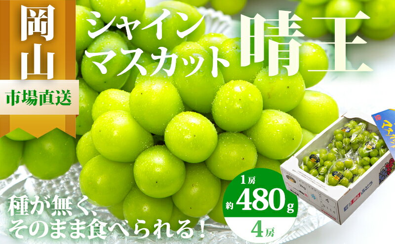 【ふるさと納税】ぶどう 2026年 先行予約 シャイン マスカット 晴王 4房（1房480g以上）約2kg マスカット ブドウ 葡萄 岡山県産 国産 フルーツ 果物 ギフト 果物類 ぶどう 　お届け：2026年8月下旬～2026年10月中旬 サムネイル2