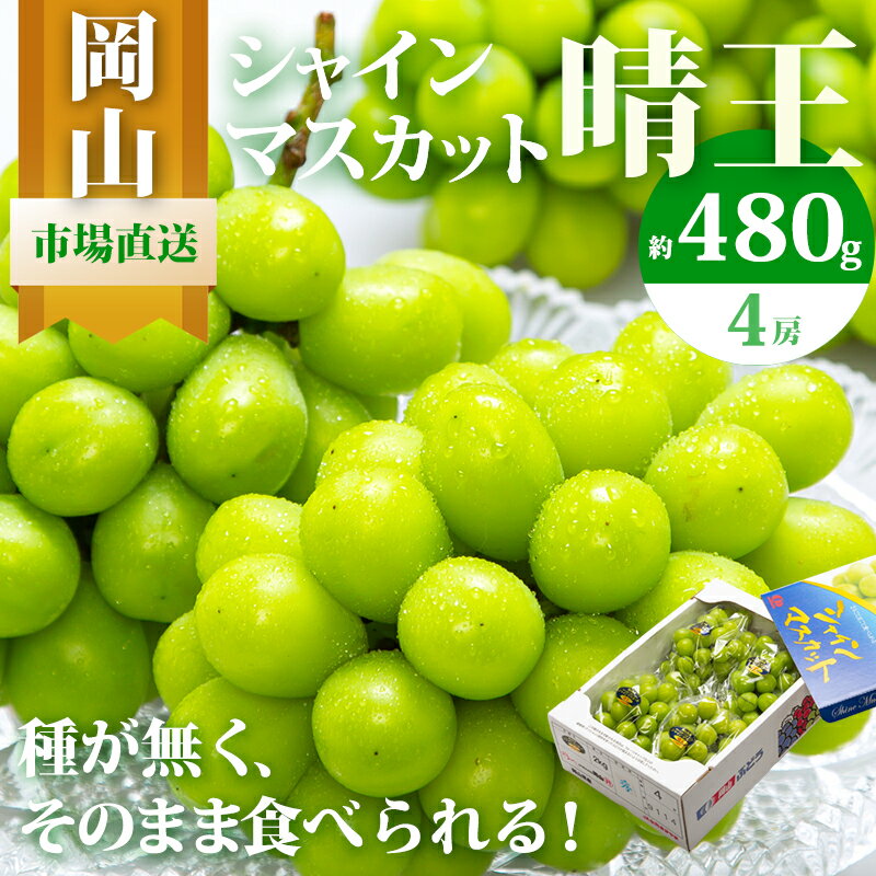 ぶどう 2026年 先行予約 シャイン マスカット 晴王 4房（1房480g以上）約2kg マスカット ブドウ 葡萄 岡山県産 国産 フルーツ 果物 ギフト 果物類 ぶどう 　お届け：2026年8月下旬～2026年10月中旬