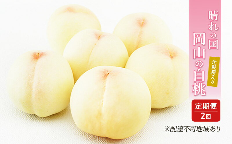 【ふるさと納税】桃 定期便 2026年 先行予約 晴れの国 岡山 の 白桃 ×2回 お届け 1回目 白桃 6玉（1玉250g以上）／2回目 白桃 6玉（1玉300g以上） 化粧箱入り もも モモ 岡山産 国産 フルーツ 果物 ギフト 　お届け：2026年7月上旬～2026年8月上旬 サムネイル2