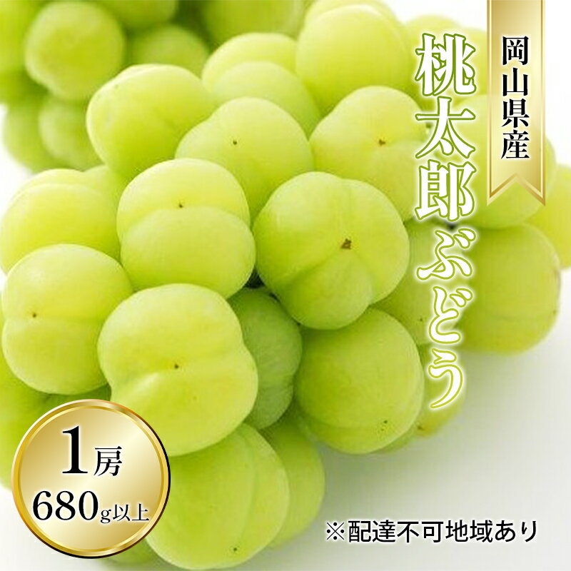 ぶどう 2026年 先行予約 桃太郎 ぶどう 1房 680g以上（露地栽培）贈答用 ブドウ 葡萄 岡山県産 国産 フルーツ 果物 ギフト 　お届け：2026年9月上旬～2026年10月中旬