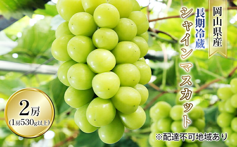 【ふるさと納税】ぶどう 2025年 先行予約 長期冷蔵 シャイン マスカット 2房入り（1房 530g以上） ブドウ 葡萄 岡山県産 国産 フルーツ 果物 ギフト 　お届け：2025年11月下旬～2025年12月上旬 サムネイル2
