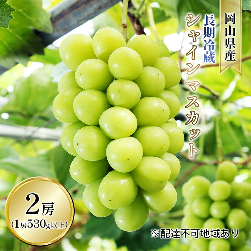 ぶどう 2025年 先行予約 長期冷蔵 シャイン マスカット 2房入り（1房 530g以上） ブドウ 葡萄 岡山県産 国産 フルーツ 果物 ギフト 　お届け：2025年11月下旬～2025年12月上旬