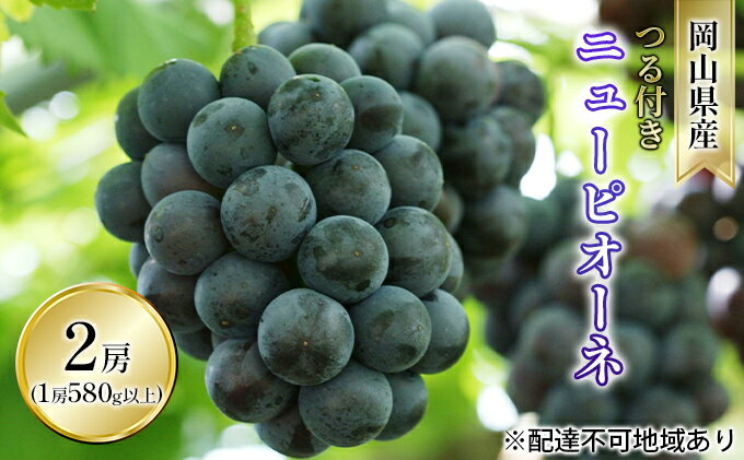 【ふるさと納税】ぶどう 2026年 先行予約 つる付き ニュー ピオーネ 2房入り（1房 580g以上 露地栽培） ブドウ 葡萄 岡山県産 国産 フルーツ 果物 ギフト 　お届け：2026年9月上旬～2026年10月中旬 サムネイル2