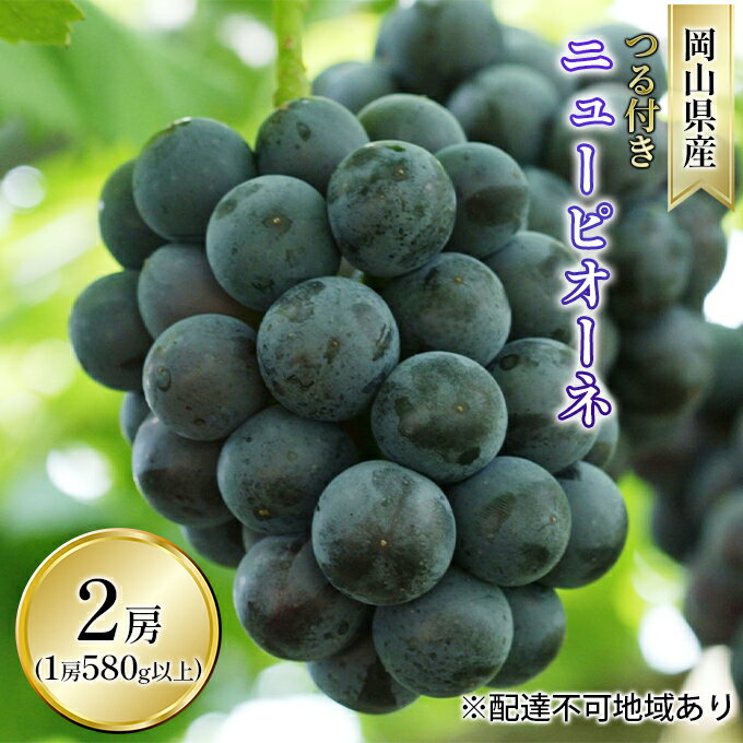 ぶどう 2026年 先行予約 つる付き ニュー ピオーネ 2房入り（1房 580g以上 露地栽培） ブドウ 葡萄 岡山県産 国産 フルーツ 果物 ギフト 　お届け：2026年9月上旬～2026年10月中旬