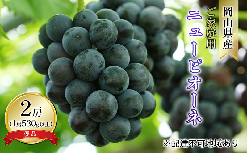【ふるさと納税】ぶどう 2026年 先行予約 ご家庭用 ニュー ピオーネ 優品 2房入り（1房 530g以上 露地栽培） ブドウ 葡萄 岡山県産 国産 フルーツ 果物 　お届け：2026年9月上旬～2026年10月中旬 サムネイル2