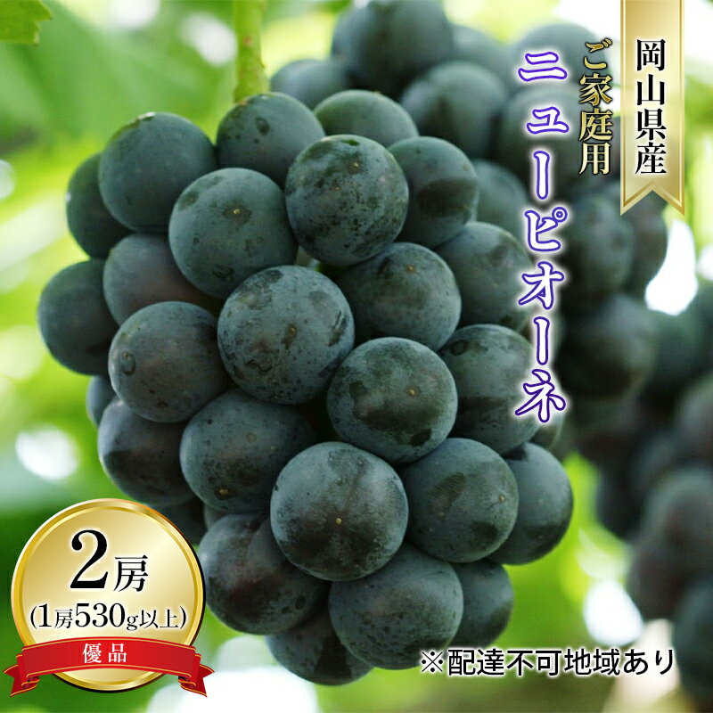 ぶどう 2026年 先行予約 ご家庭用 ニュー ピオーネ 優品 2房入り（1房 530g以上 露地栽培） ブドウ 葡萄 岡山県産 国産 フルーツ 果物 　お届け：2026年9月上旬～2026年10月中旬