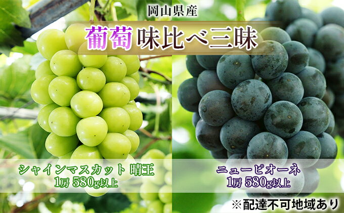 【ふるさと納税】ぶどう 2026年 先行予約 葡萄 味比べ三昧 シャイン マスカット 晴王 1房 580g以上 ニュー ピオーネ 1房 580g以上（ハウス栽培）詰合せ ブドウ 葡萄 岡山県産 国産 フルーツ 果物 ギフト 　お届け：2026年7月上旬～2026年8月上旬 サムネイル2