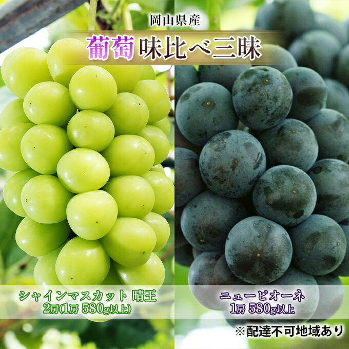 ぶどう 2026年 先行予約 葡萄 味比べ三昧 シャイン マスカット 晴王 2房（1房 580g以上）ニュー ピオーネ 1房 580g以上（ハウス栽培）詰合せ ブドウ 葡萄 岡山県産 国産 フルーツ 果物 ギフト 　お届け：2026年7月上旬～2026年8月上旬