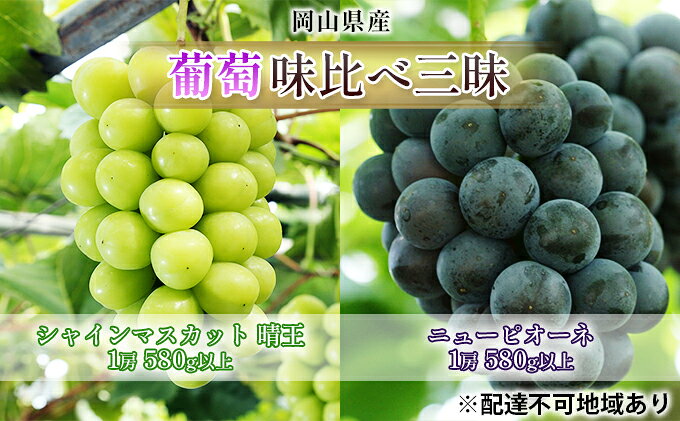 【ふるさと納税】ぶどう 2026年 先行予約 葡萄 味比べ三昧 シャイン マスカット 晴王 1房 580g以上 ニュー ピオーネ 1房 580g以上（露地栽培）詰合せ ブドウ 葡萄 岡山県産 国産 フルーツ 果物 ギフト 　お届け：2026年9月上旬～2026年10月中旬 サムネイル2