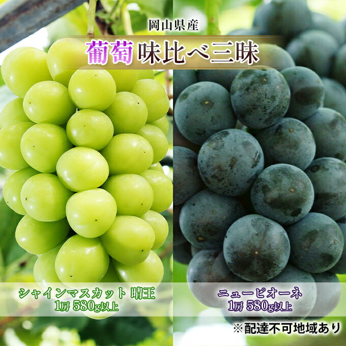 ぶどう 2026年 先行予約 葡萄 味比べ三昧 シャイン マスカット 晴王 1房 580g以上 ニュー ピオーネ 1房 580g以上（露地栽培）詰合せ ブドウ 葡萄 岡山県産 国産 フルーツ 果物 ギフト 　お届け：2026年9月上旬～2026年10月中旬