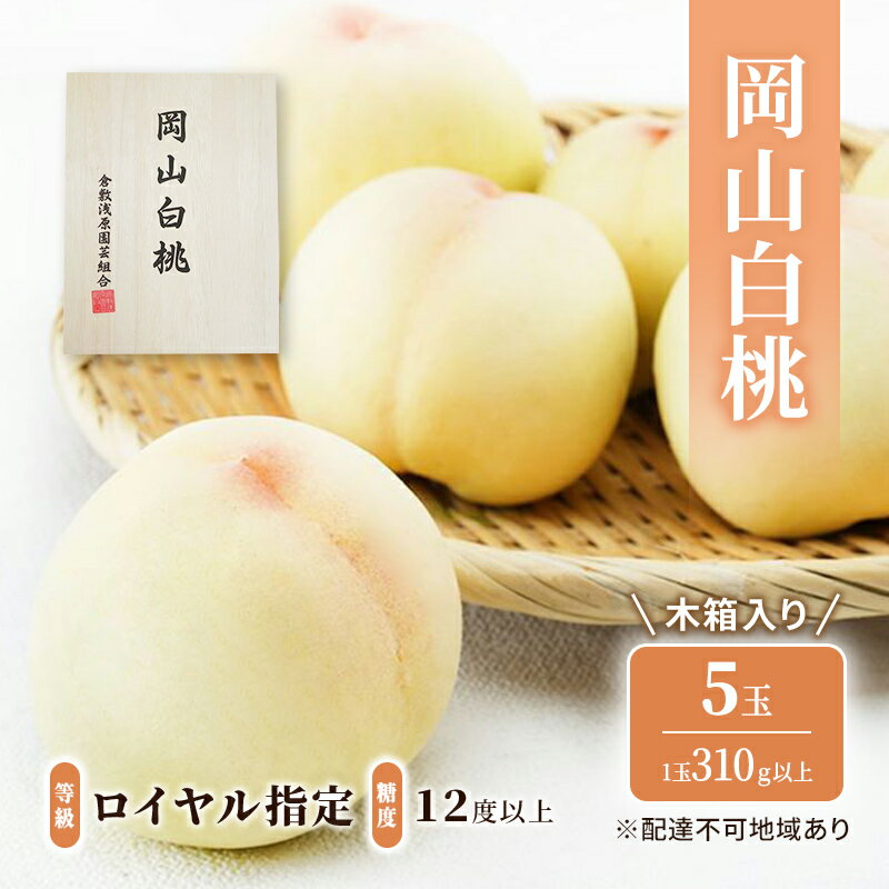 桃 2026年 先行予約 岡山 白桃 5玉（1玉310g以上）等級：ロイヤル指定／糖度：12度以上 木箱入り もも モモ 岡山県産 国産 フルーツ 果物 ギフト 　お届け：2026年7月上旬～2026年8月中旬