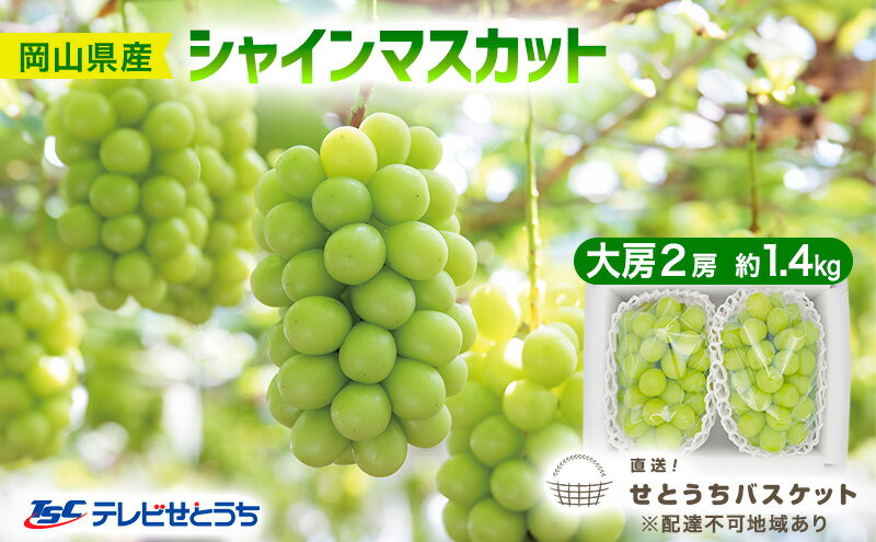 【ふるさと納税】ぶどう 2026年 先行予約 シャインマスカット 大房 2房 約1.4kg ブドウ 葡萄 岡山県産 国産 フルーツ 果物 直送！せとうちバスケット 　お届け：2026年9月末頃～2026年10月中旬 サムネイル2