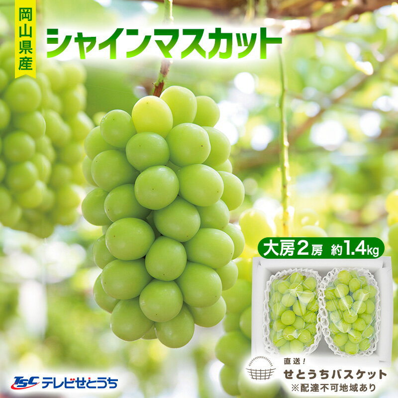 ぶどう 2026年 先行予約 シャインマスカット 大房 2房 約1.4kg ブドウ 葡萄 岡山県産 国産 フルーツ 果物 直送！せとうちバスケット 　お届け：2026年9月末頃～2026年10月中旬