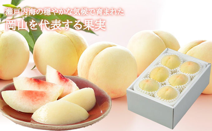 【ふるさと納税】桃 2026 年先行予約 岡山 白桃 エース 4～6玉 1kg 岡山県産 JAおかやまのもも モモ 岡山県産 国産 フルーツ 果物 ギフト 　お届け：2026年7月上旬～2026年8月下旬 サムネイル3