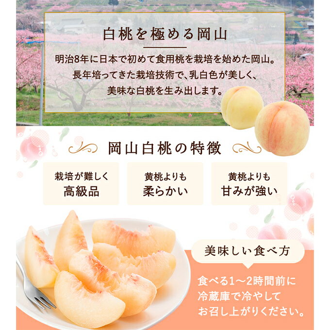 【ふるさと納税】桃 2026年 先行予約 白桃 8玉（2kg以上） 等級：ロイヤル 化粧箱入り もも モモ 岡山県産 国産 フルーツ 果物 セット ギフト 　お届け：2026年7月上旬～2026年8月中旬 サムネイル3