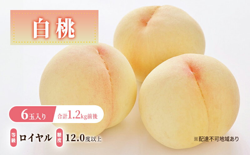 【ふるさと納税】桃 2026年 先行予約 白桃 等級: ロイヤル 糖度12.0度以上 6玉入り 合計1.2kg前後 もも モモ 岡山県産 国産 フルーツ 果物 ギフト 　お届け：2026年7月上旬～2026年8月中旬 サムネイル2
