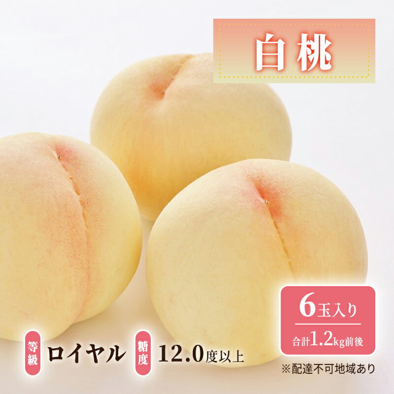 桃 2026年 先行予約 白桃 等級: ロイヤル 糖度12.0度以上 6玉入り 合計1.2kg前後 もも モモ 岡山県産 国産 フルーツ 果物 ギフト 　お届け：2026年7月上旬～2026年8月中旬