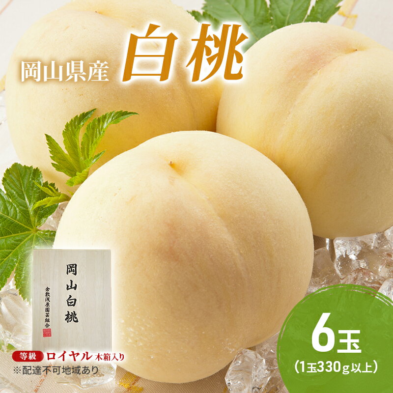 桃 2026年 先行予約 岡山白桃 6玉（1玉330g以上）等級：ロイヤル 木箱入り もも モモ 岡山県産 国産 フルーツ 果物 セット ギフト　お届け：2026年7月上旬～2026年8月中旬