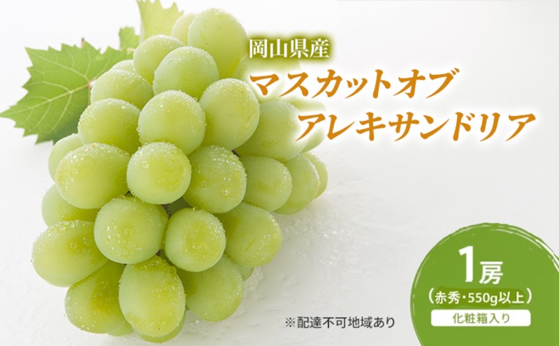 【ふるさと納税】ぶどう 2026年 先行予約 マスカットオブアレキサンドリア 1房(550g以上・赤秀) 化粧箱入り　お届け：2026年6月中旬～2026年8月下旬 サムネイル2