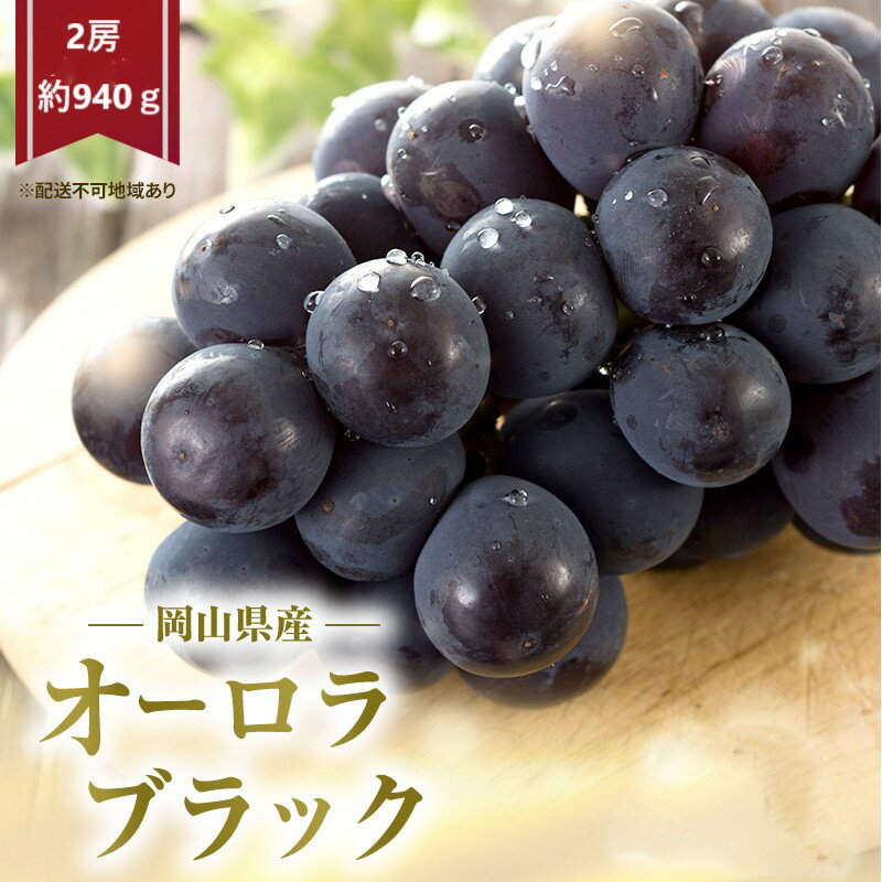 ぶどう 2026年 先行予約 オーロラブラック 2房 (約940g) 化粧箱入り　お届け：2026年8月下旬～2026年9月下旬