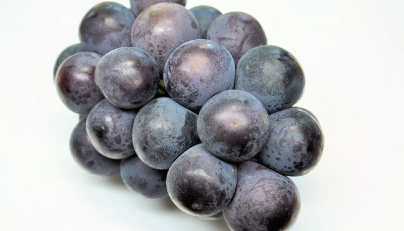 【ふるさと納税】ぶどう 2026年 先行予約 オーロラブラック 2房 (約940g) 化粧箱入り　お届け：2026年8月下旬～2026年9月下旬 サムネイル3