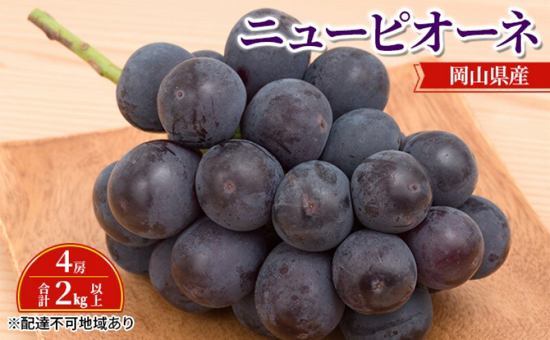 【ふるさと納税】ぶどう 【2026年 先行予約】 ニュー ピオーネ 4房 合計2kg以上 ブドウ 葡萄 岡山県産 国産 フルーツ 果物 ギフト　お届け：2026年8月下旬～2026年10月上旬 サムネイル2