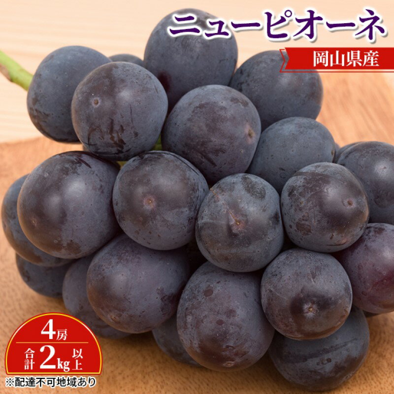 ぶどう 【2026年 先行予約】 ニュー ピオーネ 4房 合計2kg以上 ブドウ 葡萄 岡山県産 国産 フルーツ 果物 ギフト　お届け：2026年8月下旬～2026年10月上旬