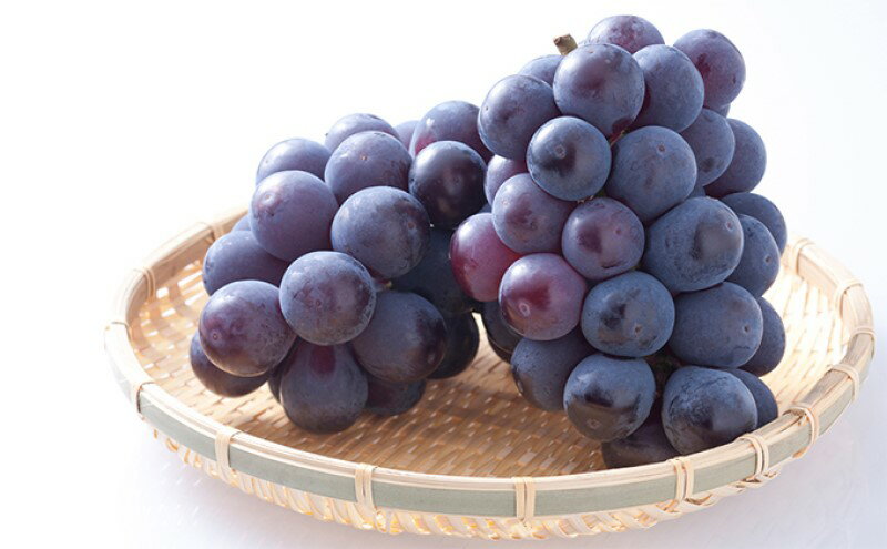 【ふるさと納税】ぶどう 【2026年 先行予約】 ニュー ピオーネ 4房 合計2kg以上 ブドウ 葡萄 岡山県産 国産 フルーツ 果物 ギフト　お届け：2026年8月下旬～2026年10月上旬 サムネイル3