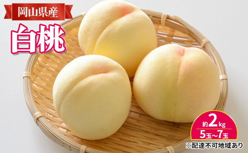 【ふるさと納税】桃 【2026年 先行予約】 岡山 白桃 約2kg入り（5玉～7玉） もも モモ 岡山県産 国産 フルーツ 果物 ギフト　お届け：2026年7月中旬～2026年8月中旬 サムネイル2