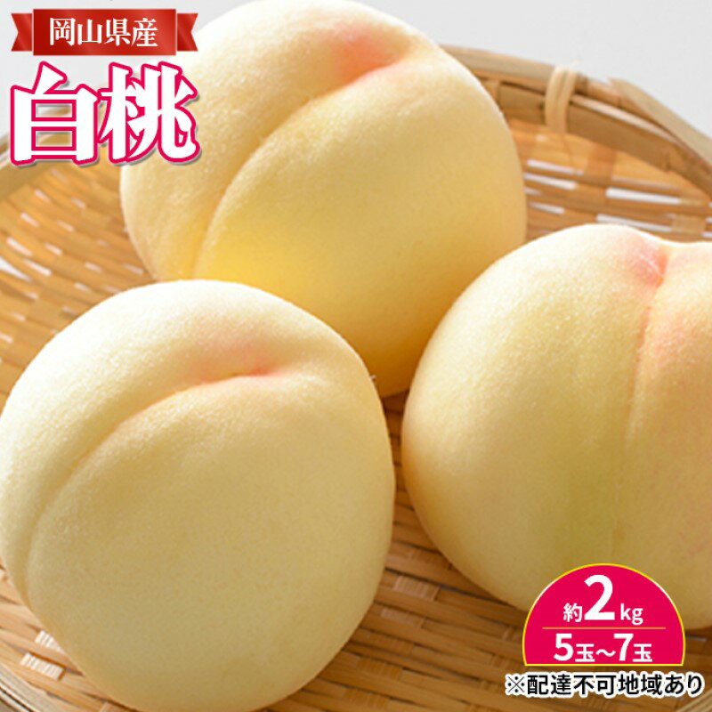 桃 【2026年 先行予約】 岡山 白桃 約2kg入り（5玉～7玉） もも モモ 岡山県産 国産 フルーツ 果物 ギフト　お届け：2026年7月中旬～2026年8月中旬