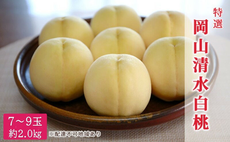 【ふるさと納税】桃 2026年 先行予約 特選 岡山清水白桃 7～9玉 約2kg もも モモ 岡山県産 国産 フルーツ 果物 ギフト　お届け：2026年7月中旬～2026年7月下旬 サムネイル2