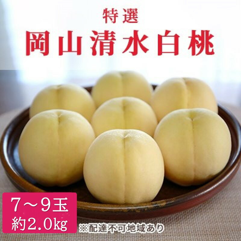 桃 2026年 先行予約 特選 岡山清水白桃 7～9玉 約2kg もも モモ 岡山県産 国産 フルーツ 果物 ギフト　お届け：2026年7月中旬～2026年7月下旬