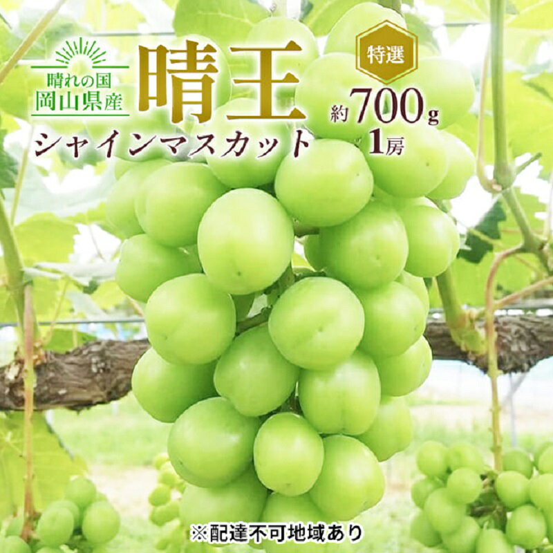 ぶどう 2025年 先行予約 シャイン マスカット 晴王 特選 1房 約700g 大粒 種無し ブドウ 葡萄 岡山県産 国産 フルーツ 果物 ギフト 橋田商店　お届け：2025年9月中旬～2025年11月上旬